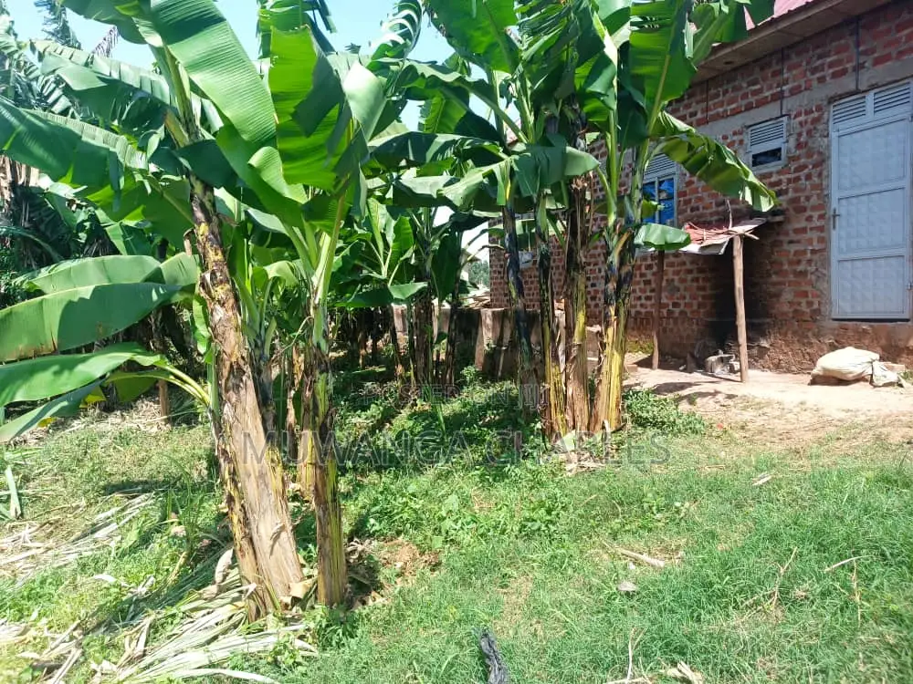 Plot for Sale in Busika in Division B