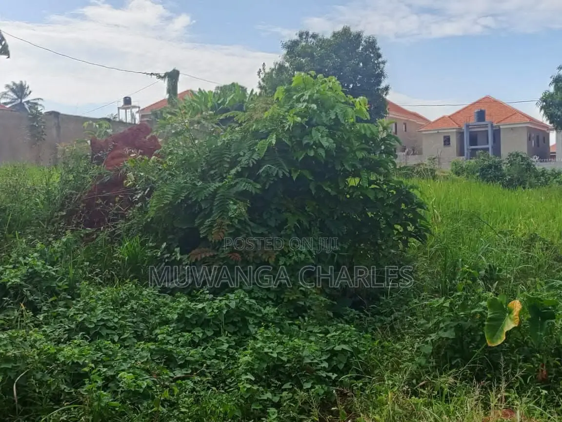 12decimals Plot of Land for Sale in Kimwanyi in Kira