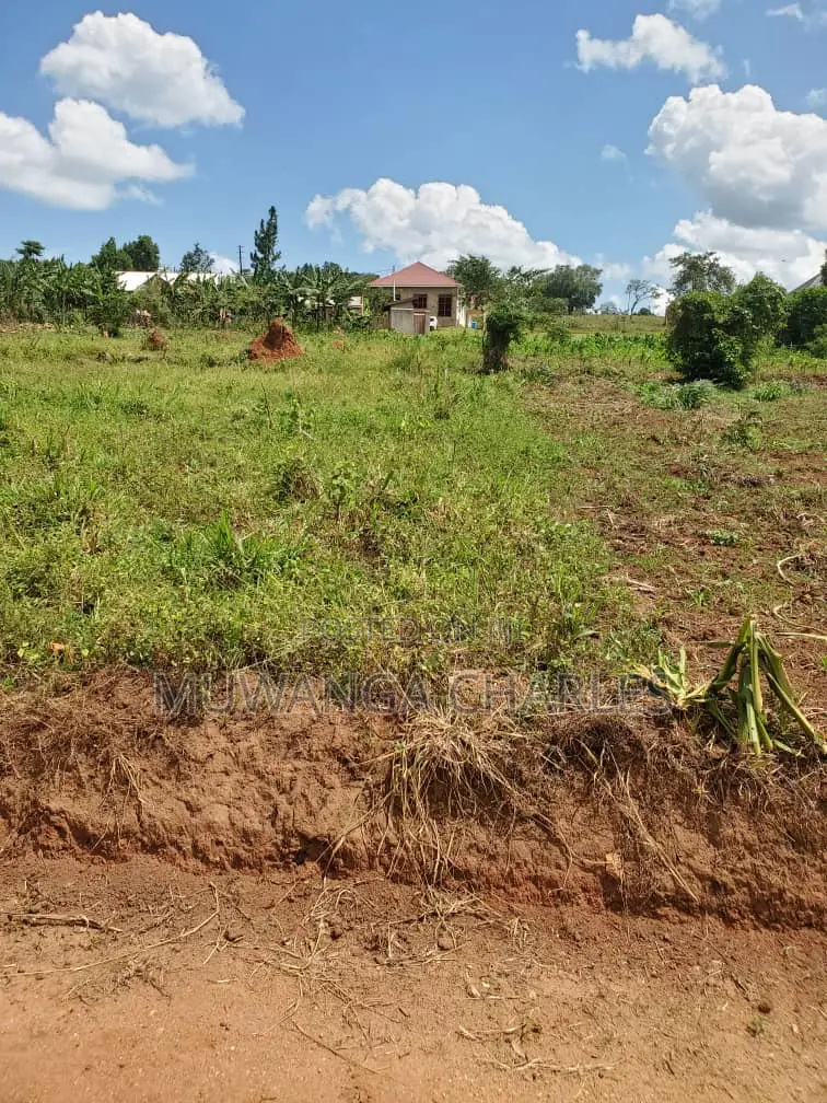 12decimals Plot of Land for Sale in Kimwanyi in Kira