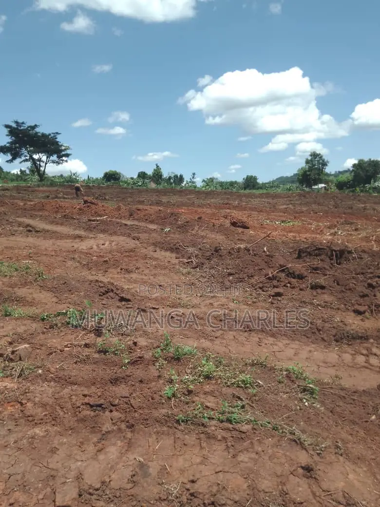 12decimals of Land for Sale in Busukuma in Division A