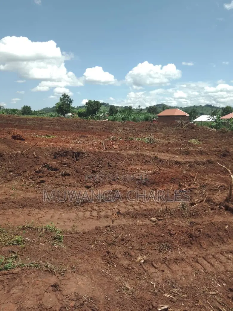 12decimals of Land for Sale in Busukuma in Division A