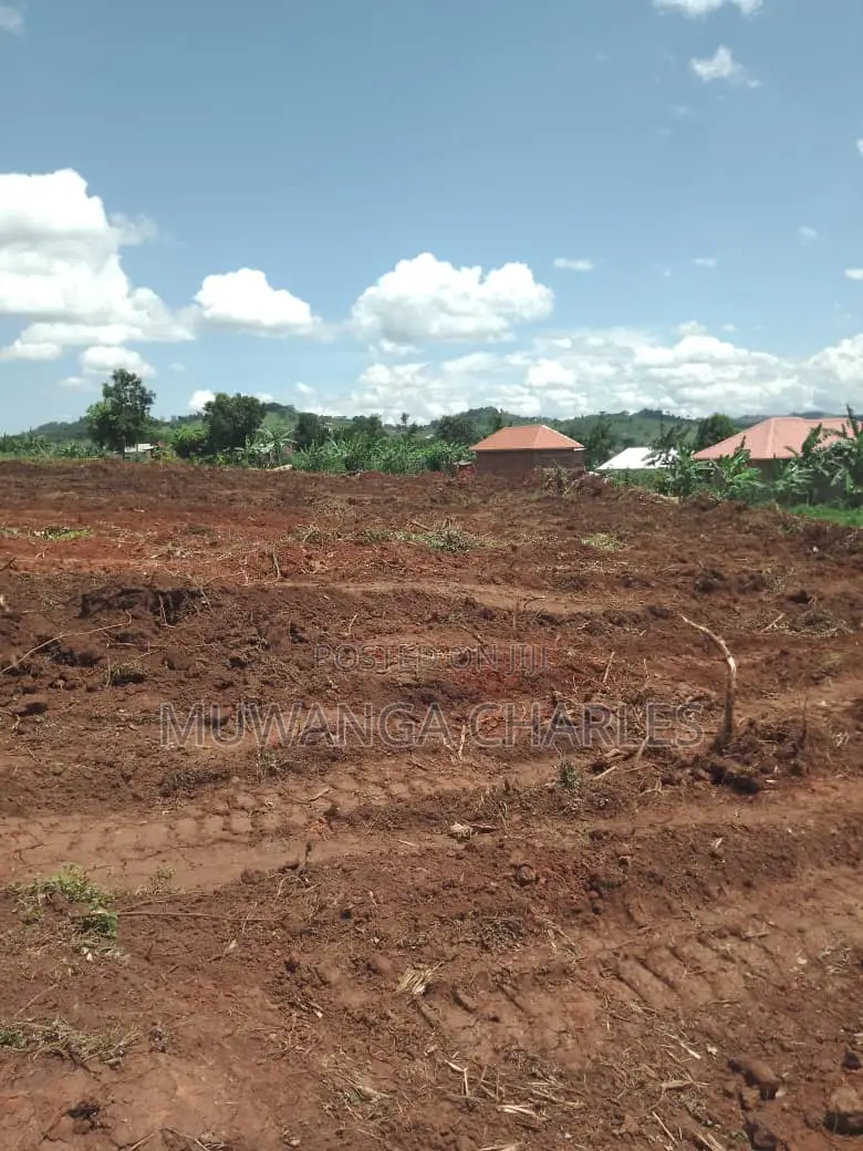 12decimals of Land for Sale in Busukuma in Division A