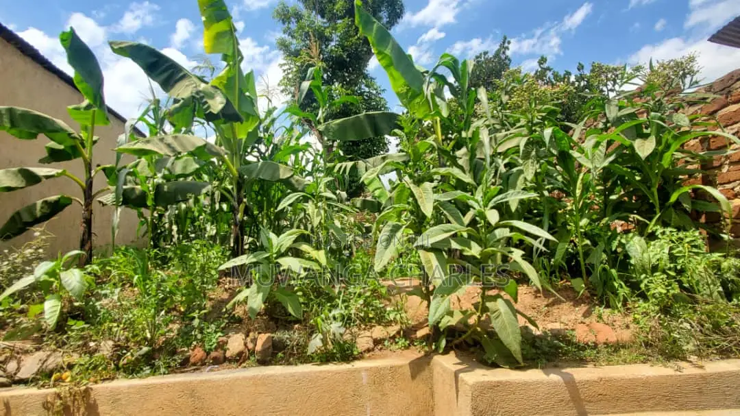 10acres of Land for Sale in Kalule in Luwero / Luwero