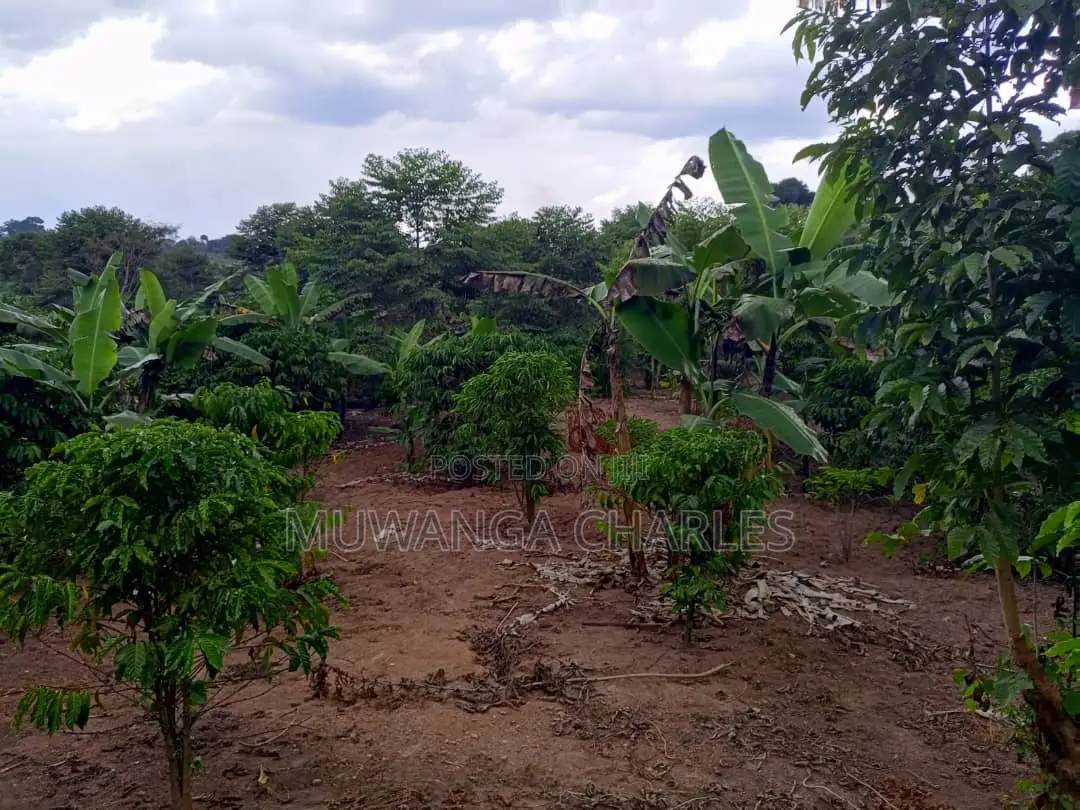 10acres of Land for Sale in Kalule in Luwero / Luwero