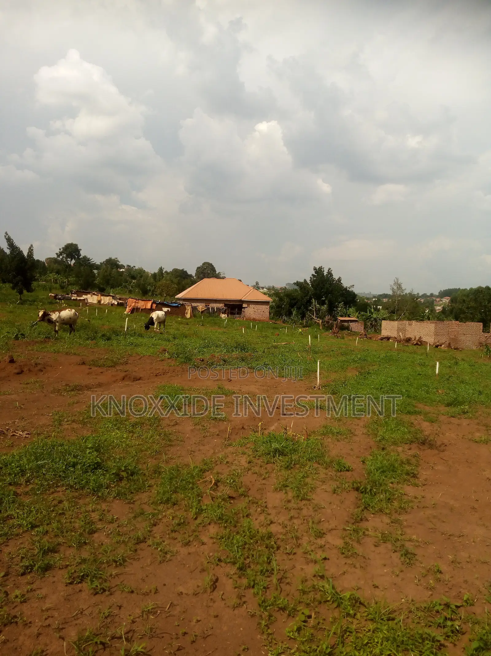 Plot for Sale 100x40ft at 20m Ugx Lukanga Town Sentema Road in Central Division