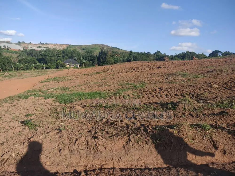 100by50ft Plot for Sale in Busukuma in Busukuma