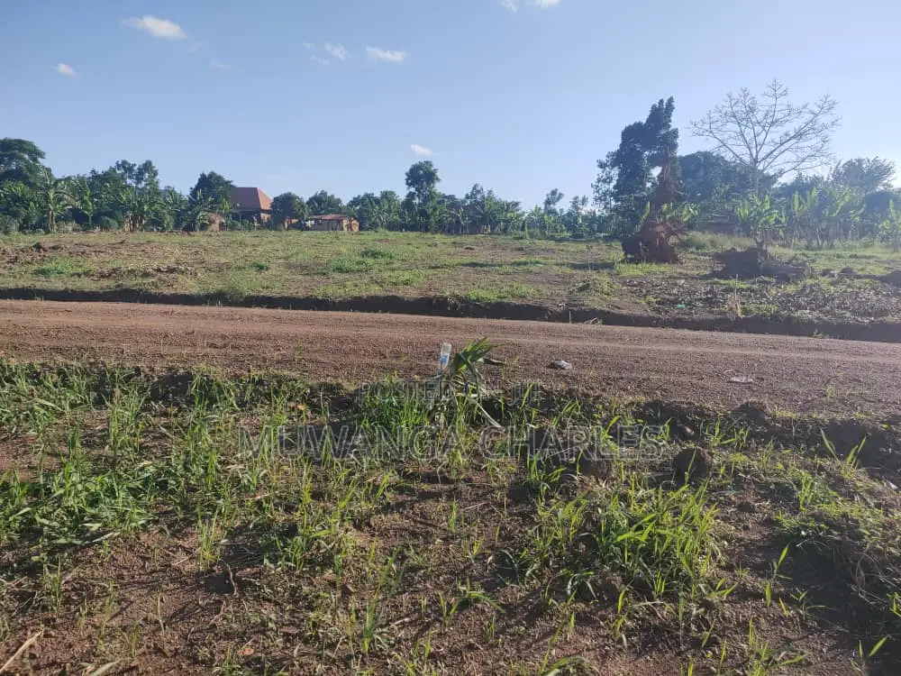 100by50ft Plot for Sale in Busukuma in Busukuma
