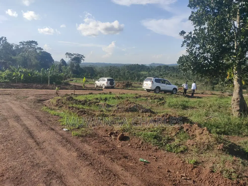 100by50ft Plot for Sale in Busukuma in Busukuma