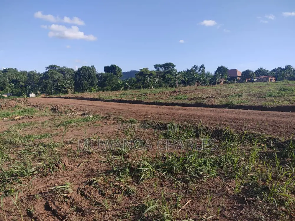 100by50ft Plot for Sale in Busukuma in Busukuma
