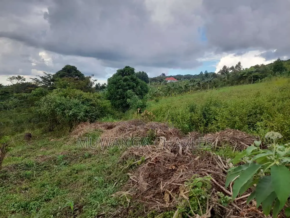 5acres of Land for Sale at Busika in Luwero / Luwero