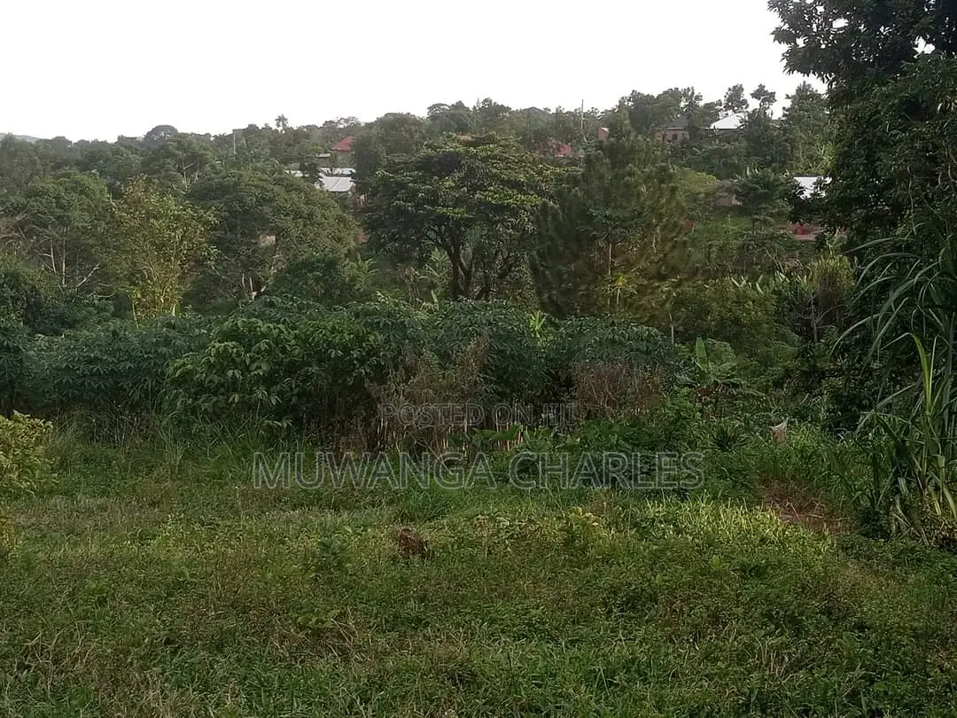 5acres of Land for Sale at Busika in Luwero / Luwero
