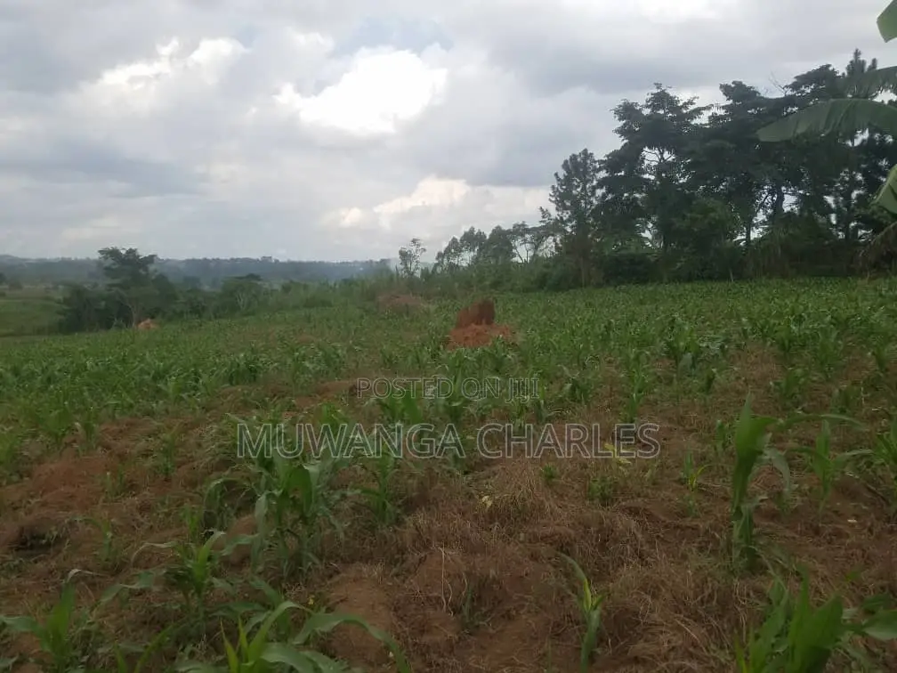 12decimals Plot of Land for Sale at Kitukutwe in Kira
