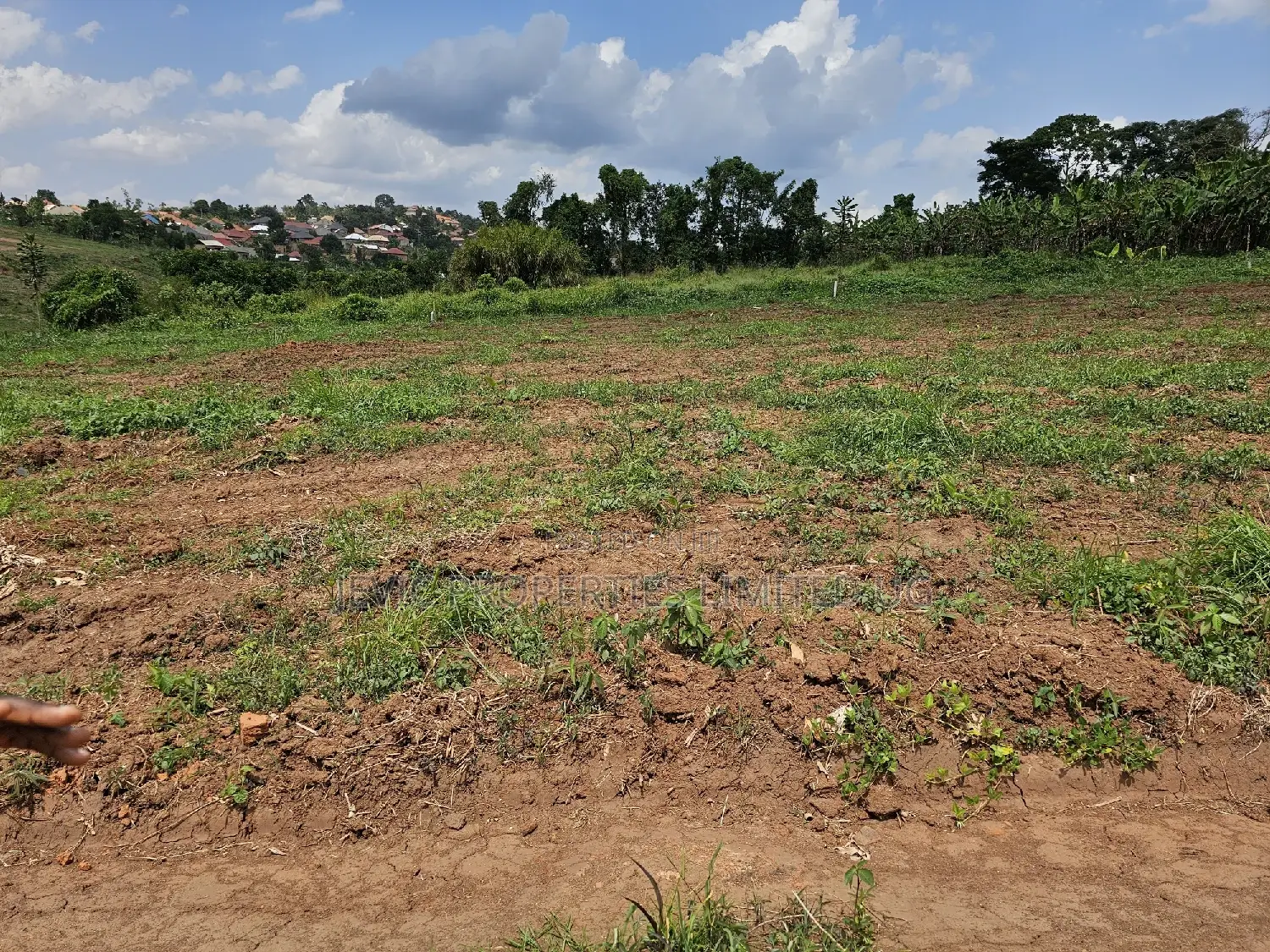 Wakiso-Namusera Mabombwe Estate Along Hoima Road in Wakiso / Wakiso