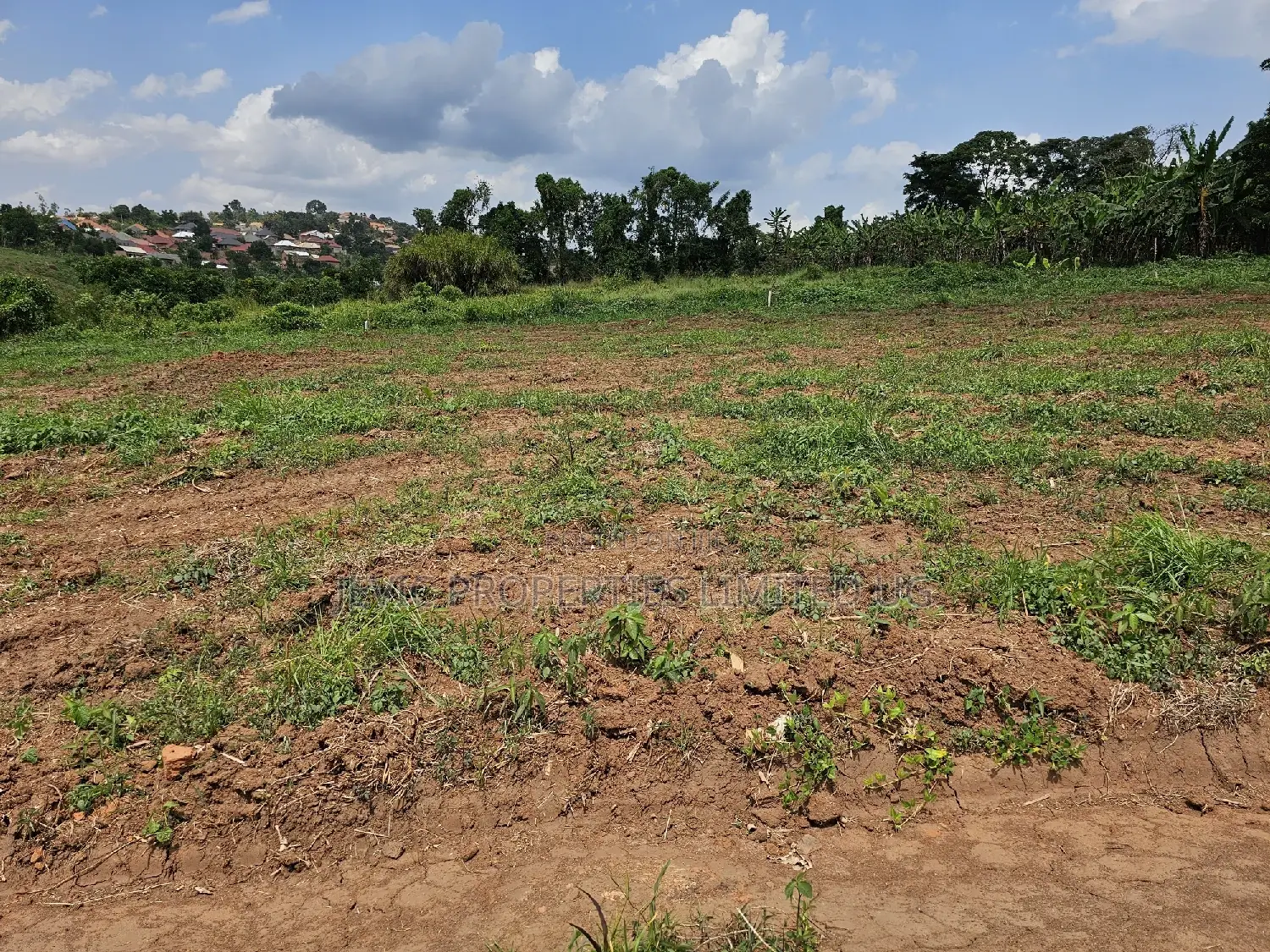 Wakiso-Namusera Mabombwe Estate Along Hoima Road in Wakiso / Wakiso
