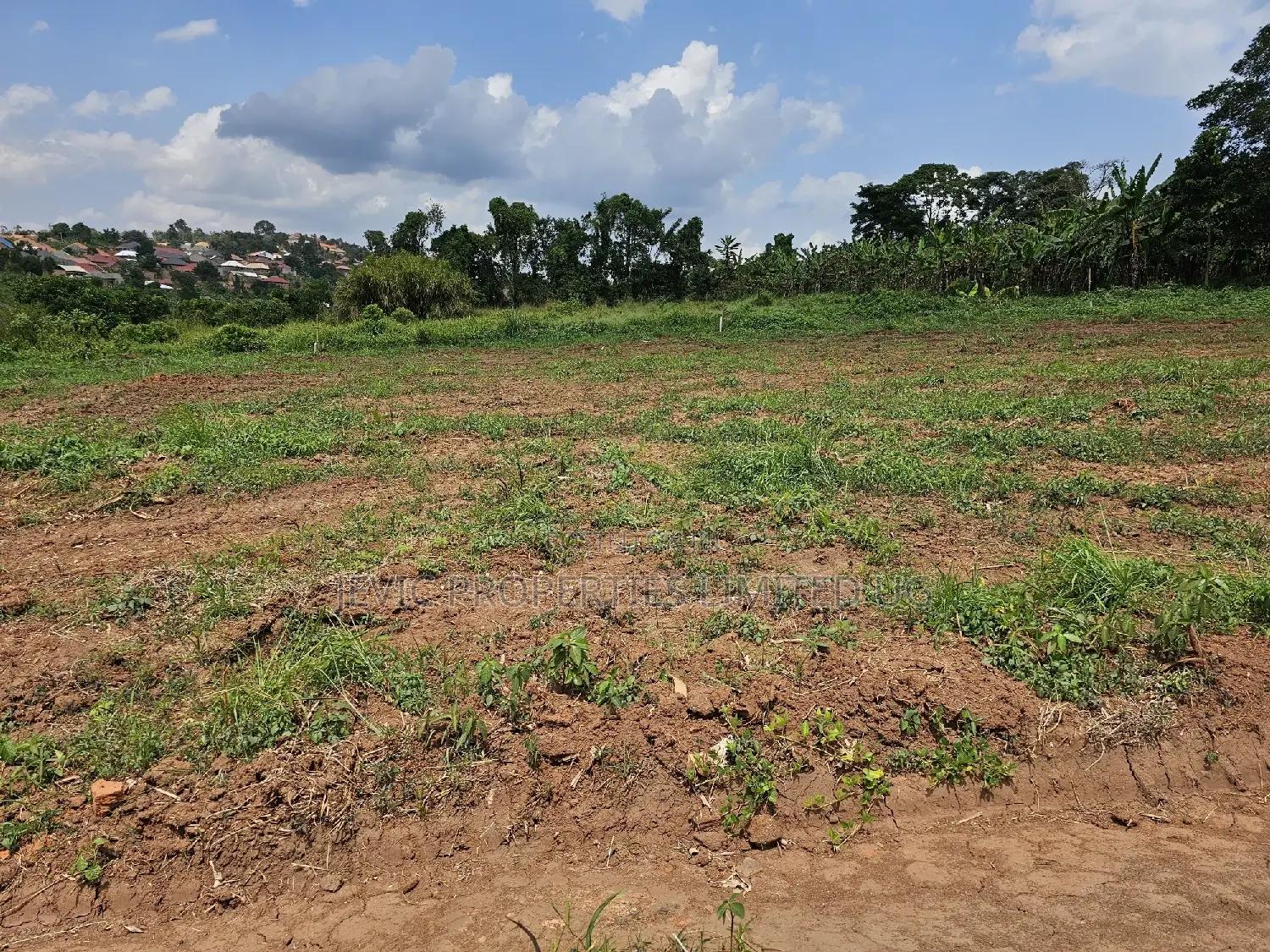Wakiso-Namusera Mabombwe Estate Along Hoima Road in Wakiso / Wakiso