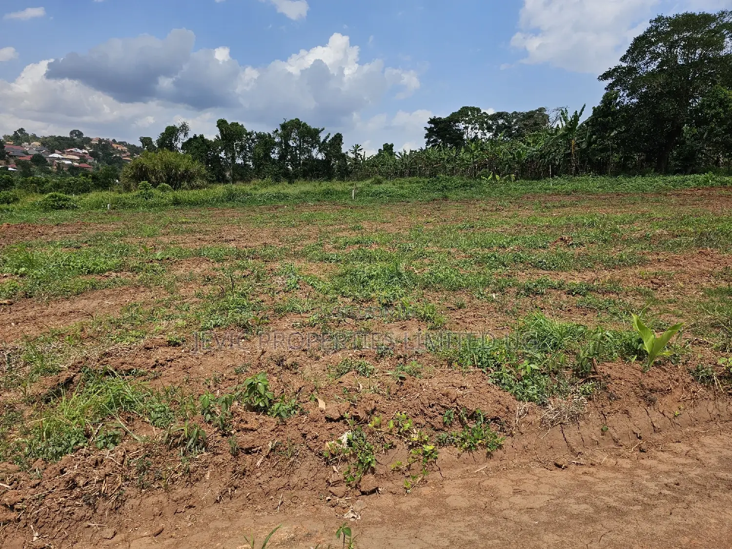 Wakiso-Namusera Mabombwe Estate Along Hoima Road in Wakiso / Wakiso