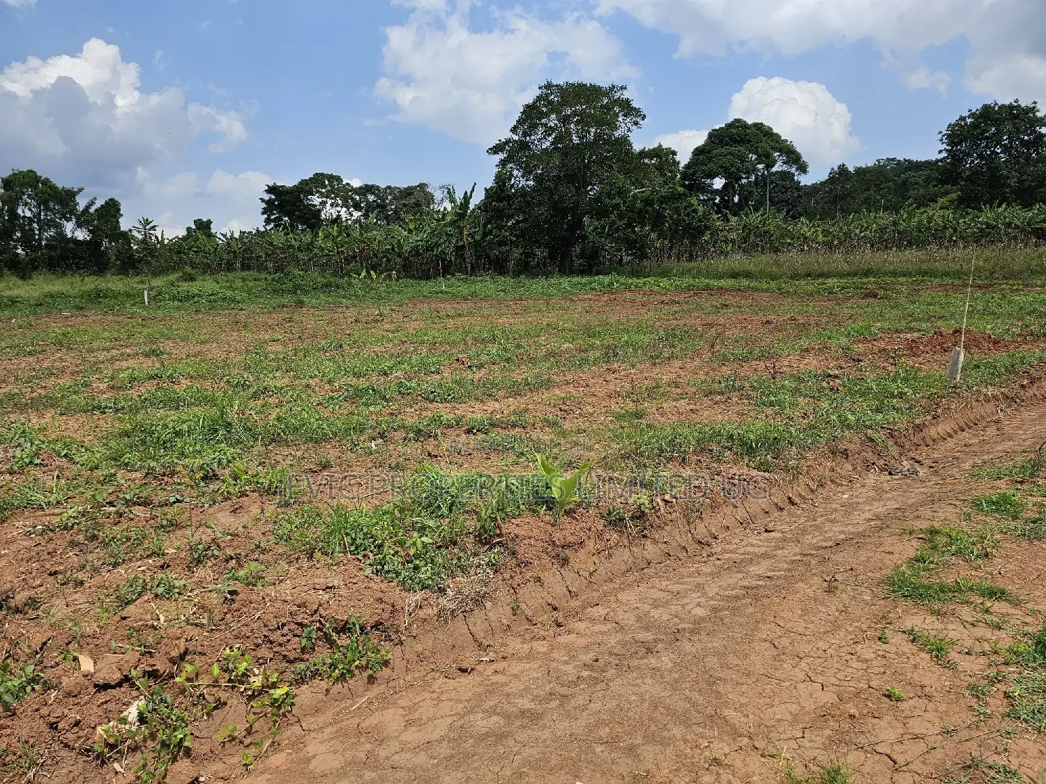 Looking for Land -Wakiso Namusera Titled Plots Are Fiting Yoir Dream in Wakiso / Wakiso