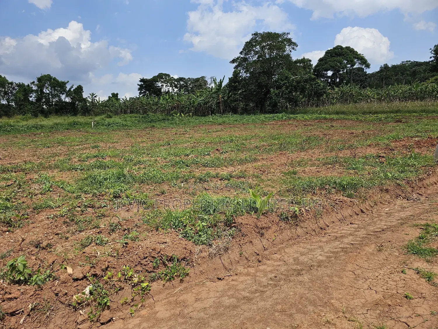 Looking for Land -Wakiso Namusera Titled Plots Are Fiting Yoir Dream in Wakiso / Wakiso