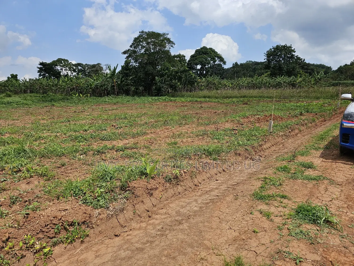 Looking for Land -Wakiso Namusera Titled Plots Are Fiting Yoir Dream in Wakiso / Wakiso