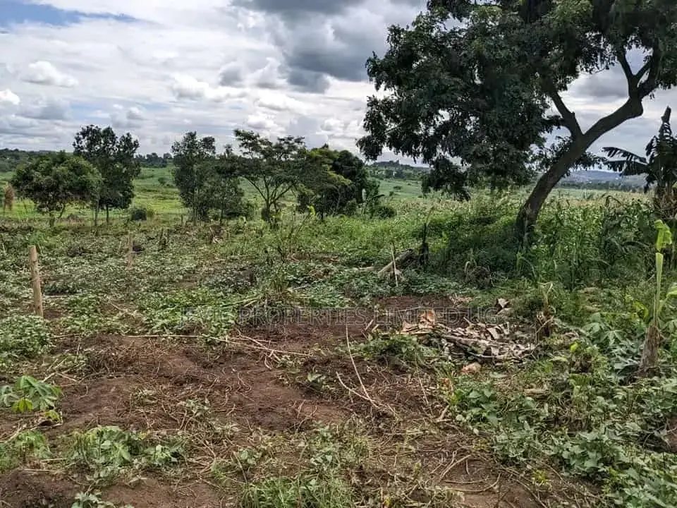 Acres in Busungu Namigavu in Wakiso / Wakiso