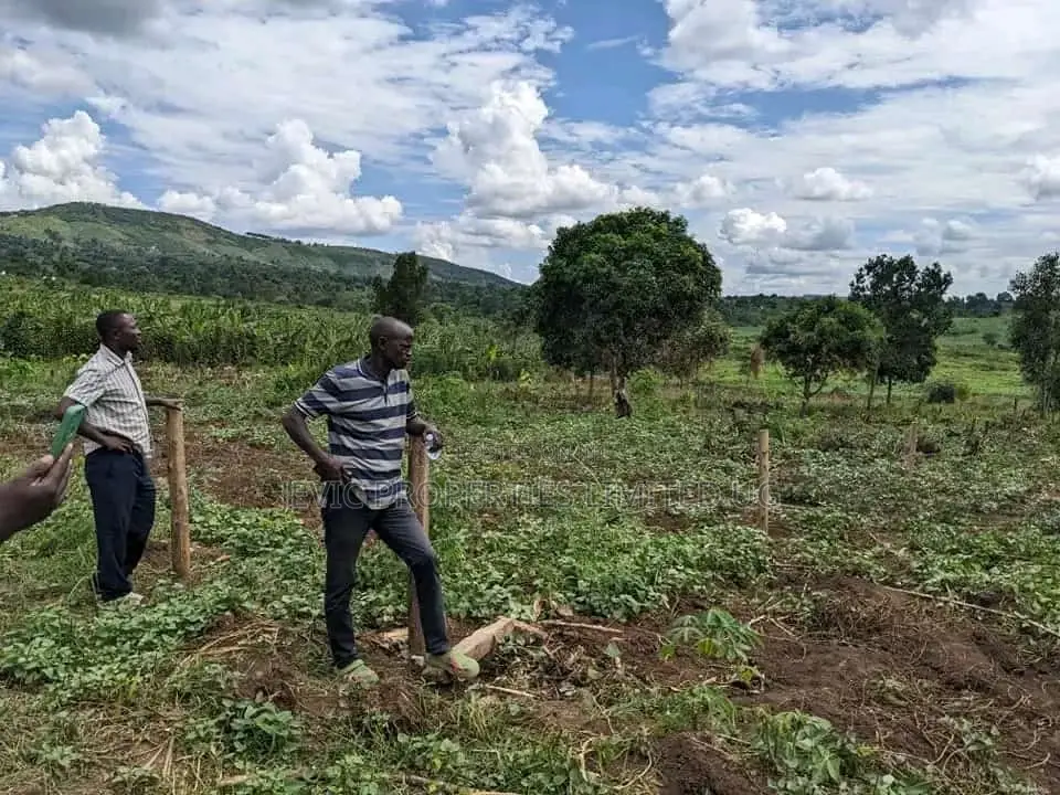 Acres in Busungu Namigavu in Wakiso / Wakiso