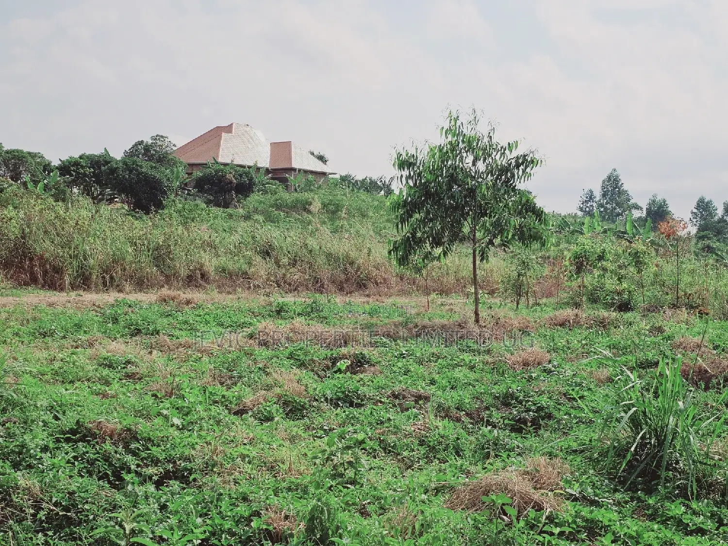 Quick Sale , Land at Kakiri Kikugi 2km Off Tarmac Police in Kakiri