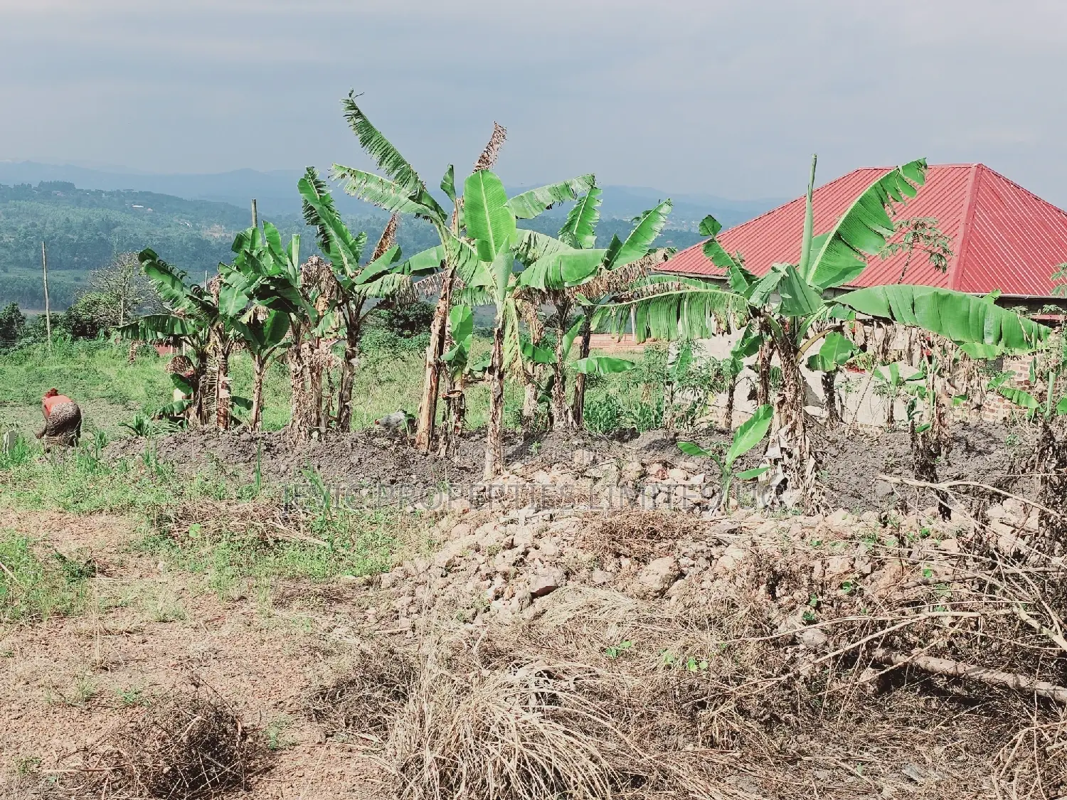 Titled Plot on Quick Sale Kakiri Kikugi Along Hoima Road in Kakiri
