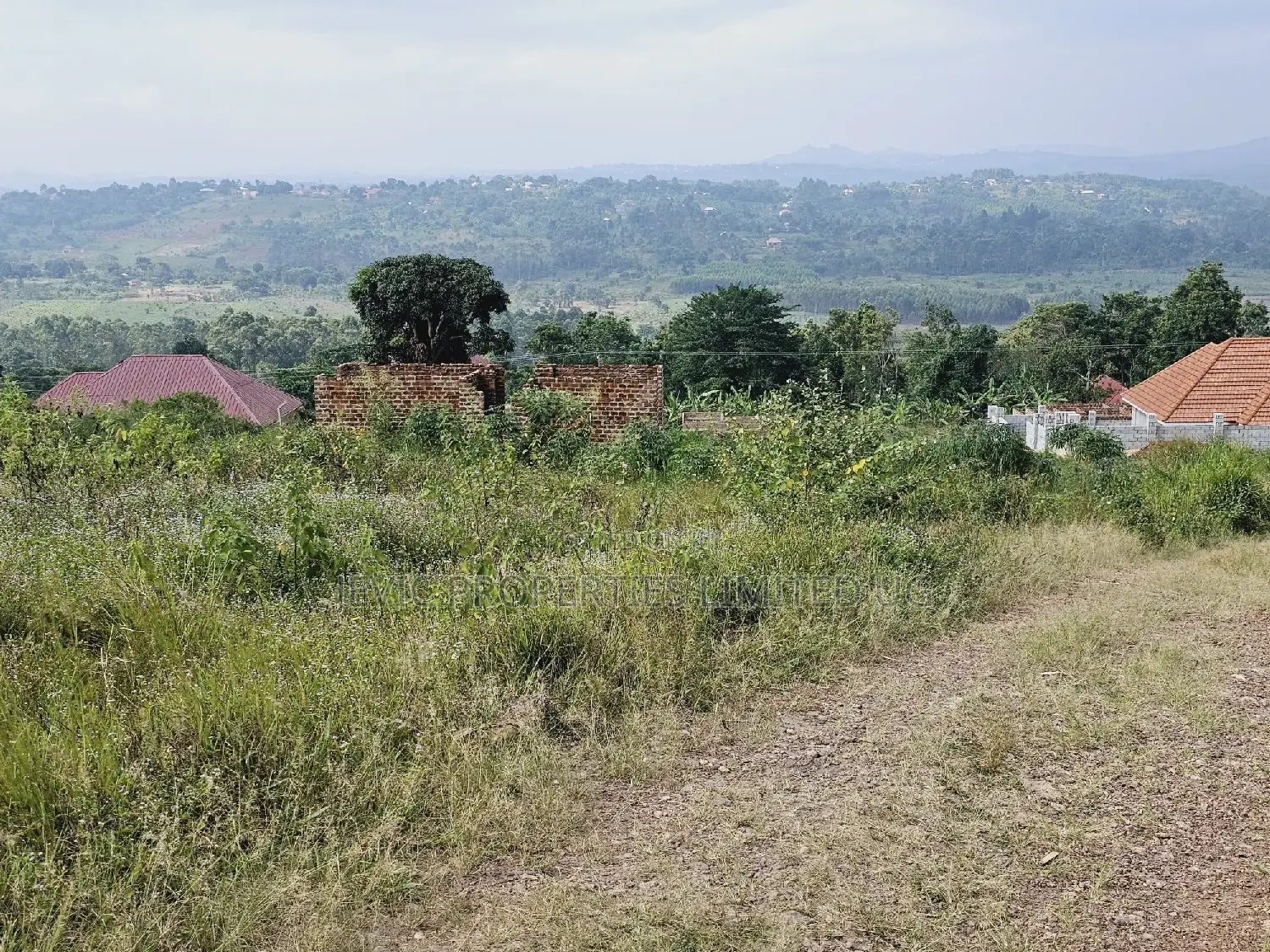 Do You Dream Big Biger ,Grab This Land No Regret in Kakiri