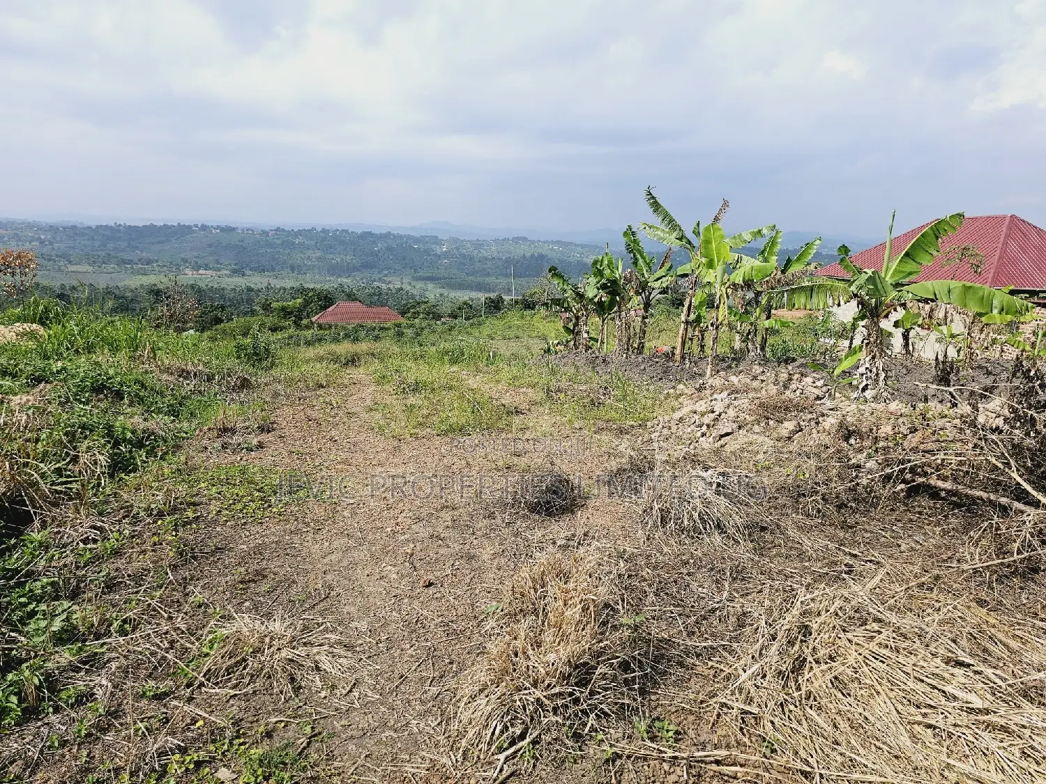 Do You Dream Big Biger ,Grab This Land No Regret in Kakiri