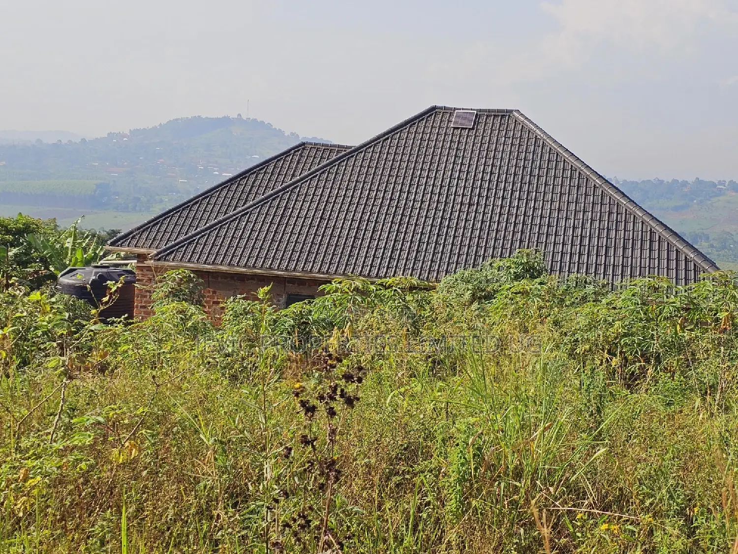 Do You Dream Big Biger ,Grab This Land No Regret in Kakiri