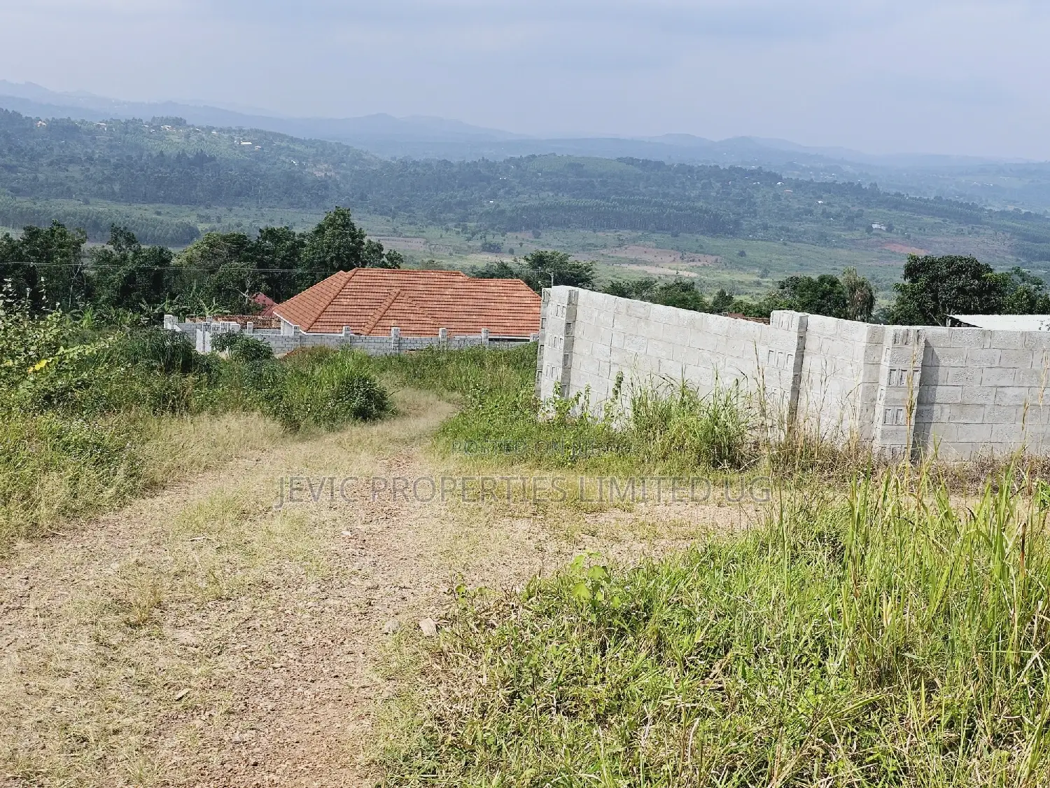 Do You Dream Big Biger ,Grab This Land No Regret in Kakiri