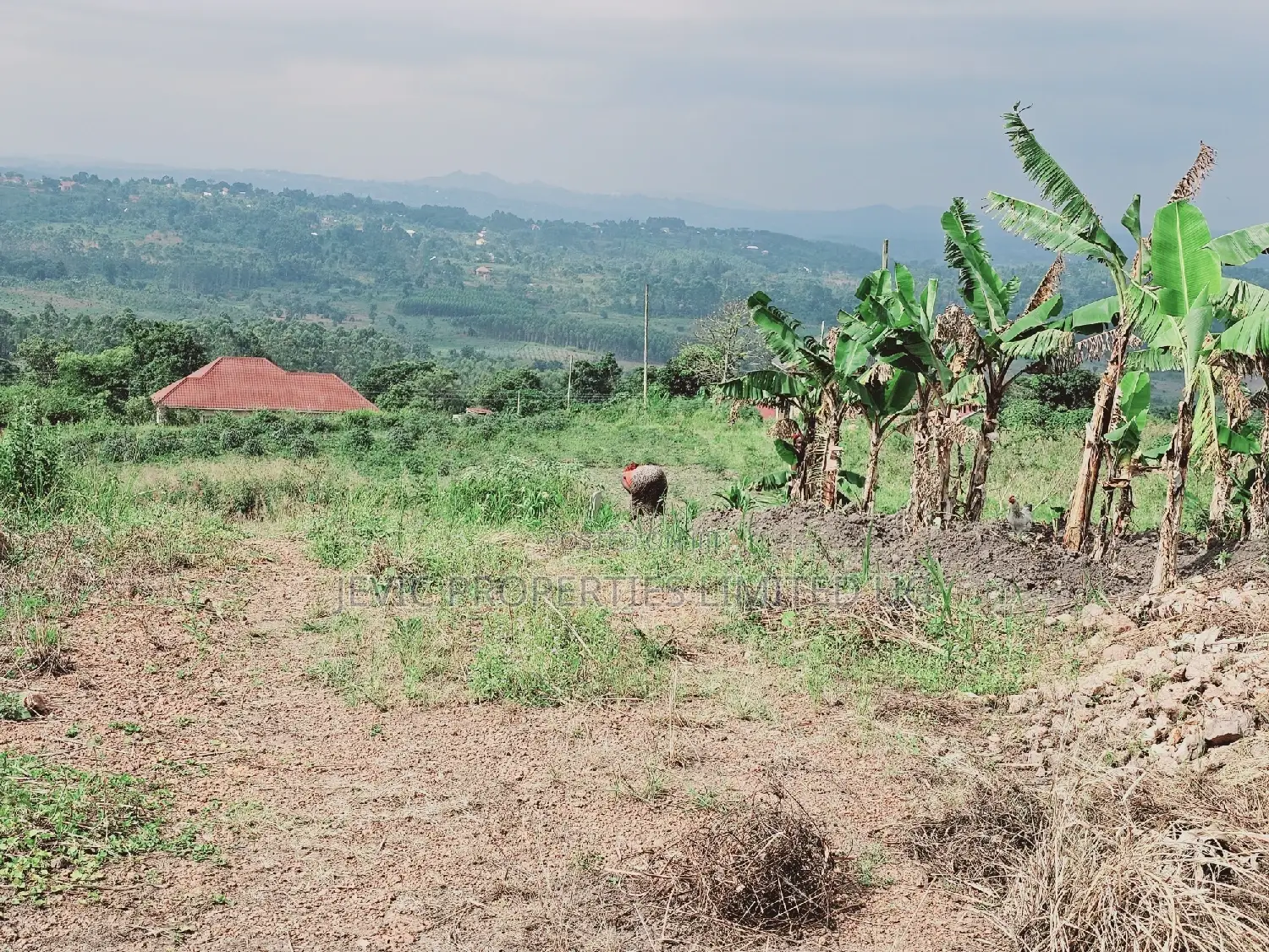 Here Comes a Chance to Own Land at Kakiri-Jevic Properties in Kakiri