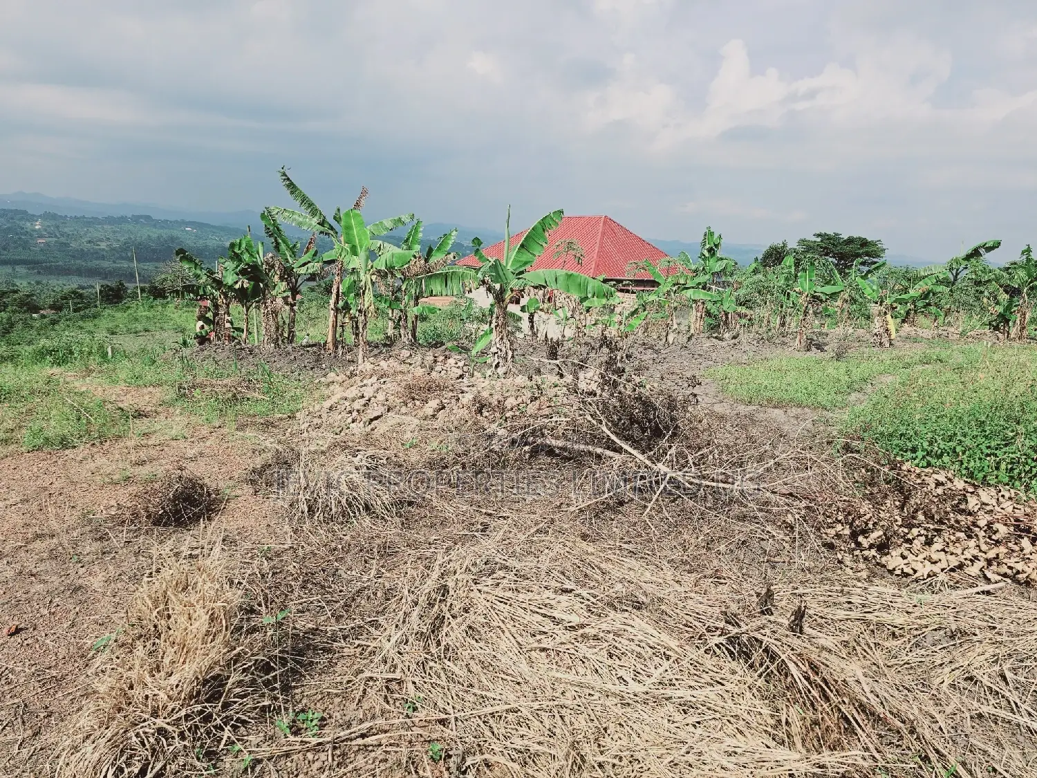 Here Comes a Chance to Own Land at Kakiri-Jevic Properties in Kakiri