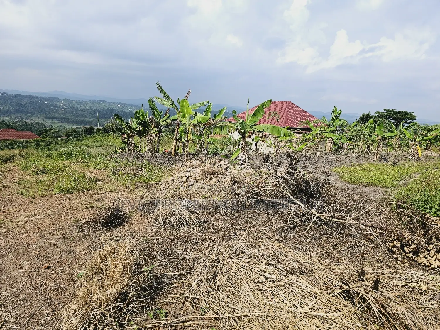 Am Selling This Land at - Wakiso Kakiri -Hoima Rd Urgently in Kakiri