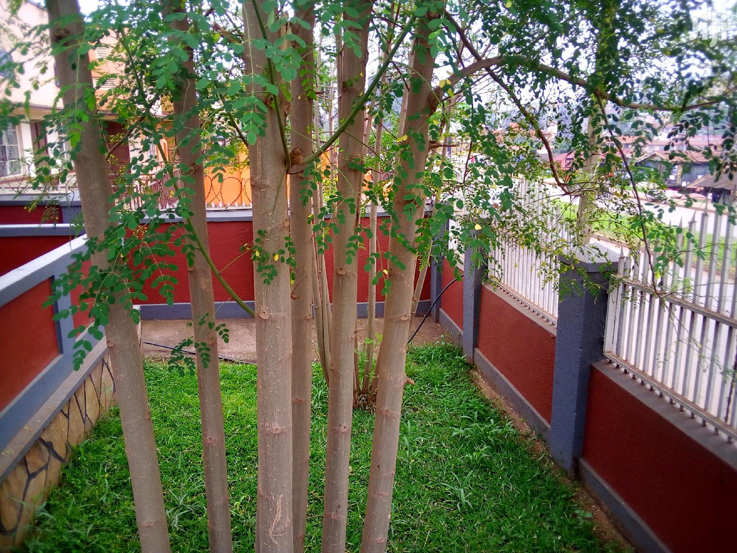 House For Rent in Kampala