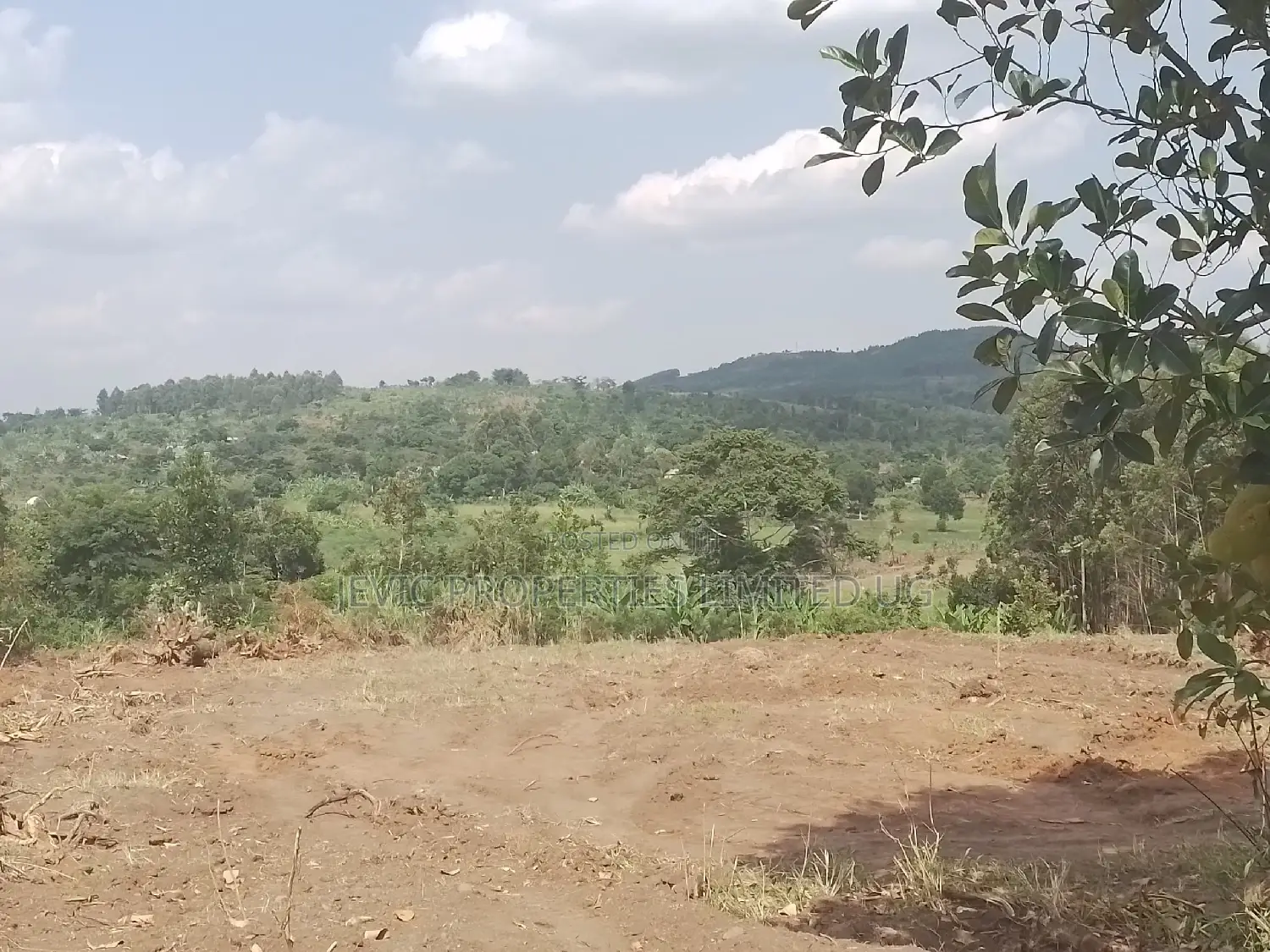 Affordable Plots in Gobero. in Wakiso / Wakiso