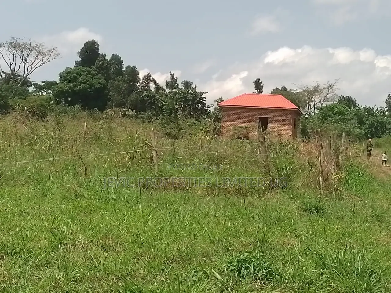 Good, Nice and Well Laid Plots in Namayumba. in Wakiso / Wakiso