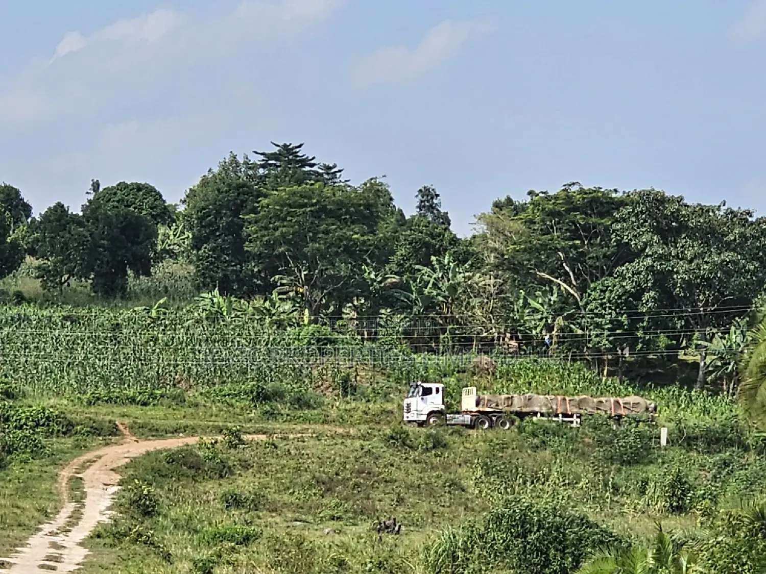 Plots at Affordable Prices in Namayumba Nagulu in Wakiso / Wakiso