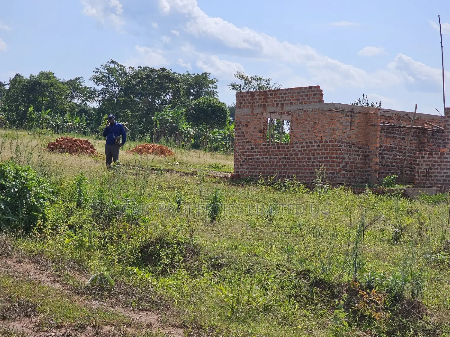 Plots at Affordable Prices in Namayumba Nagulu in Wakiso / Wakiso