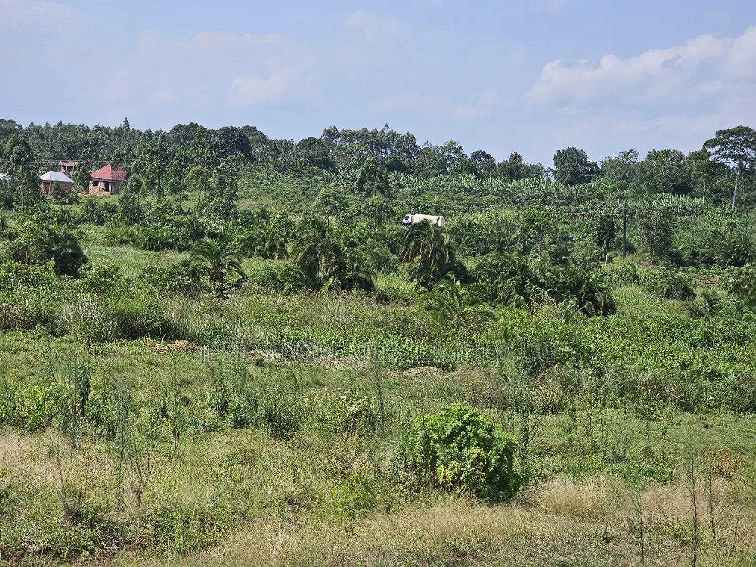 Plots at Affordable Prices in Namayumba Nagulu in Wakiso / Wakiso