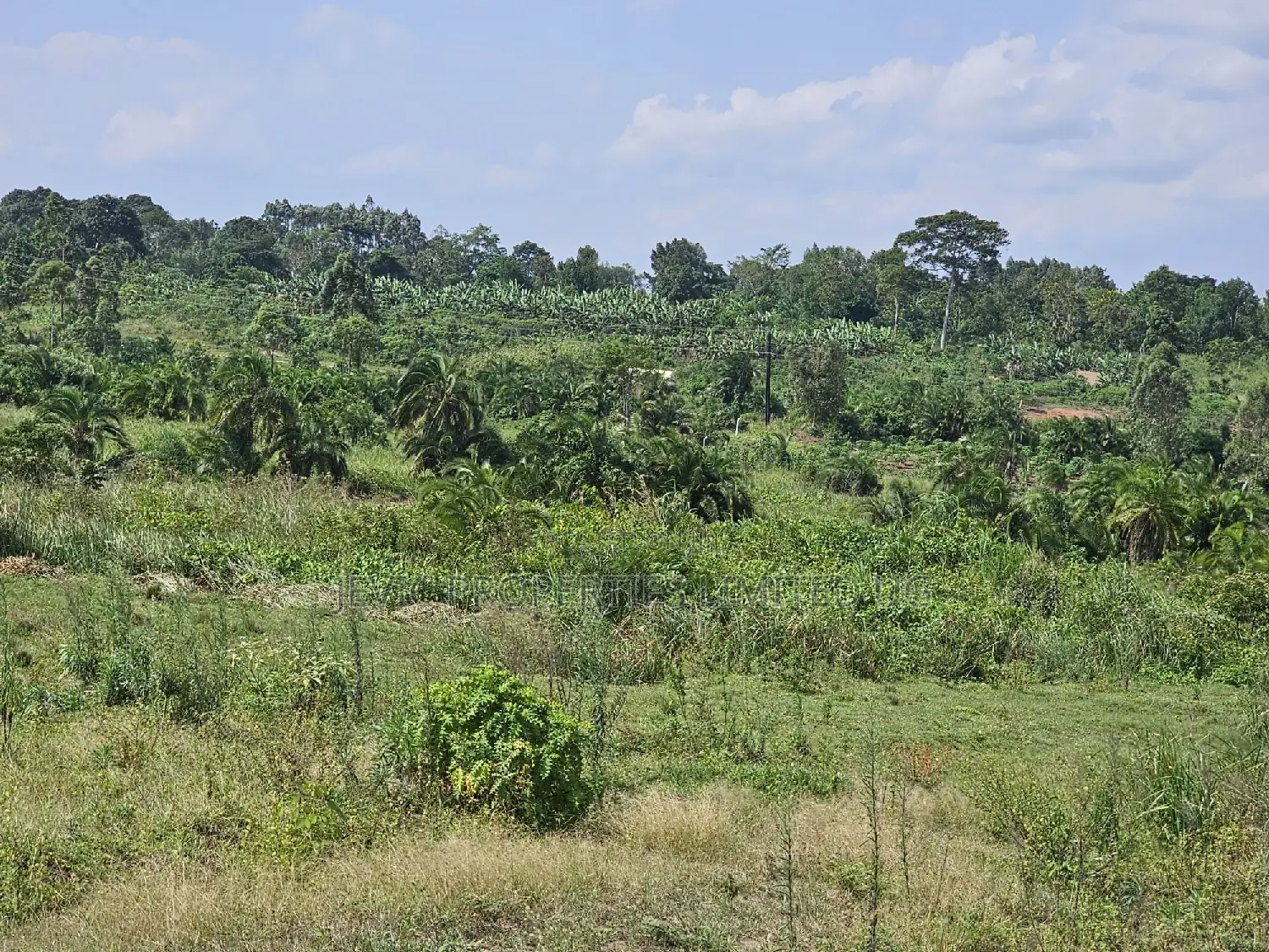 Plots at Affordable Prices in Namayumba Nagulu in Wakiso / Wakiso