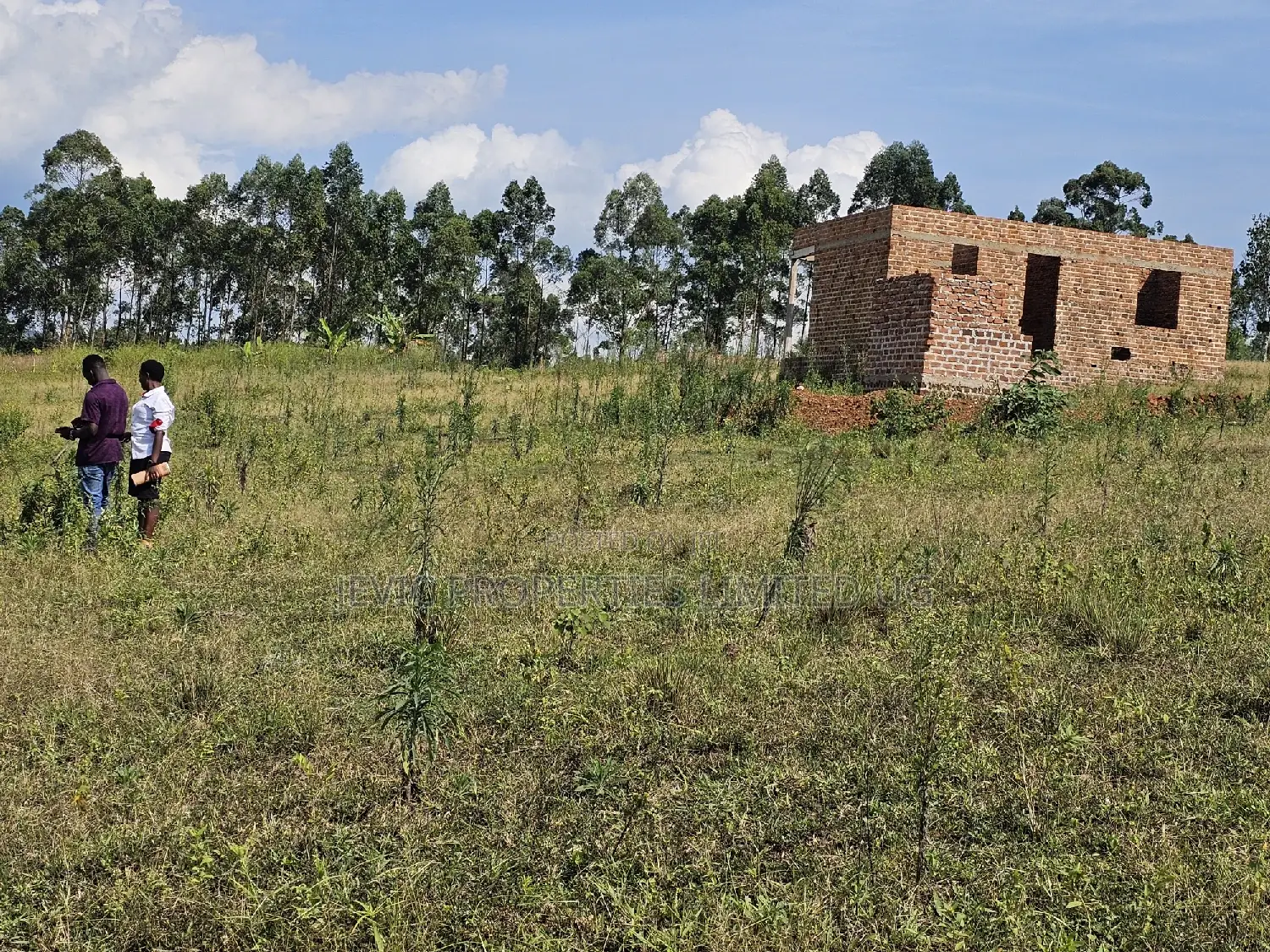 Plots Just on the Main in Namayumba in Wakiso / Wakiso