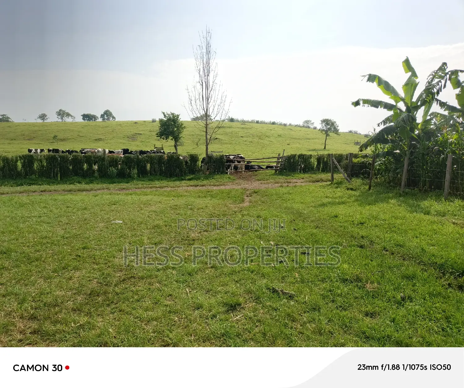 50acres of Land on Sale Located in Fort Portal City in Kabalore