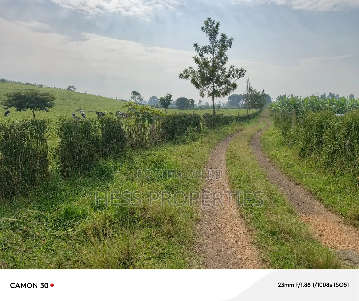 50acres of Land on Sale Located in Fort Portal City in Kabalore