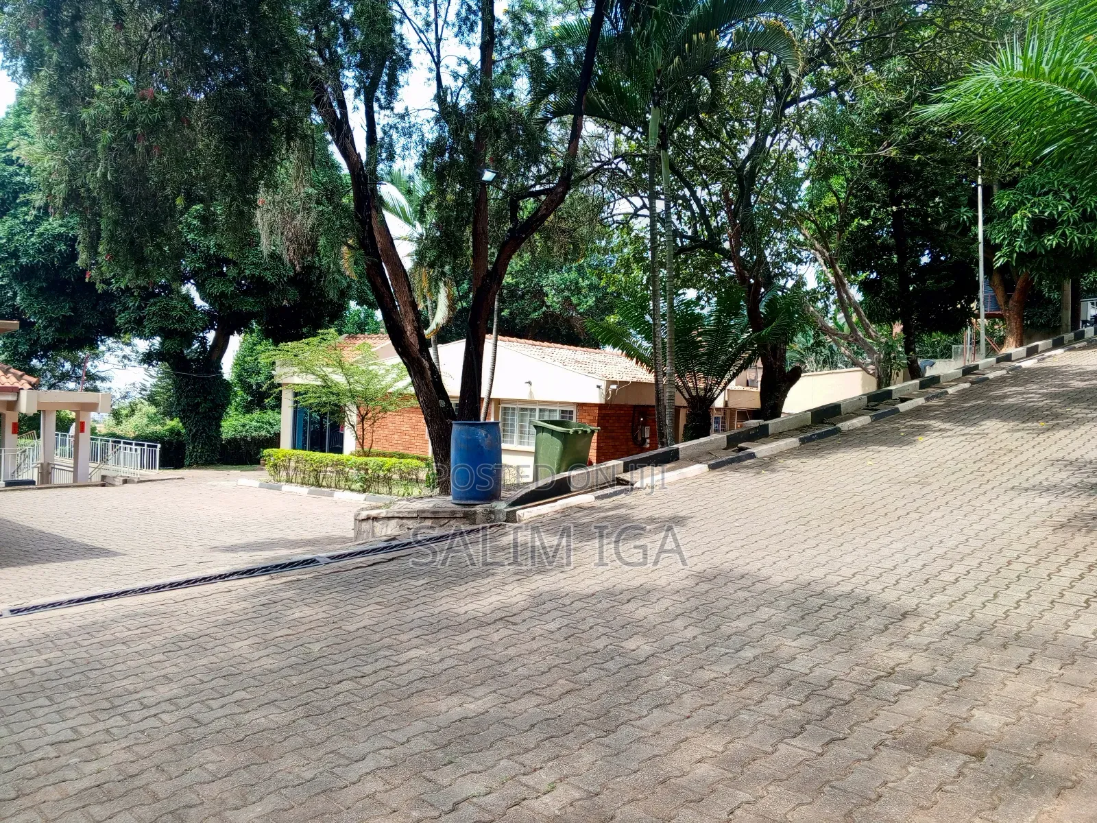 4bdrm Bungalow in Kololo Property, Central Division for rent in Central Division