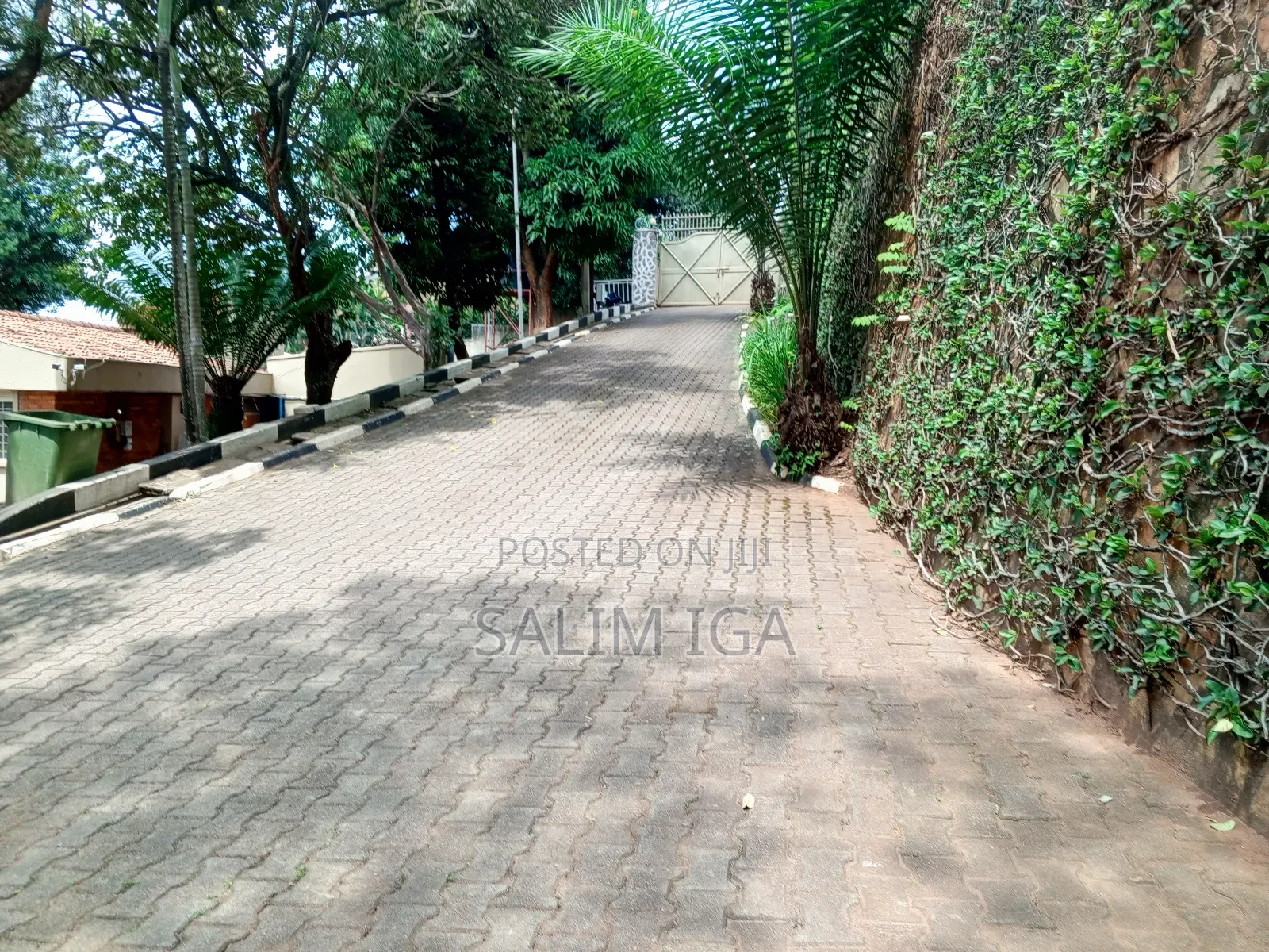 4bdrm Bungalow in Kololo Property, Central Division for rent in Central Division