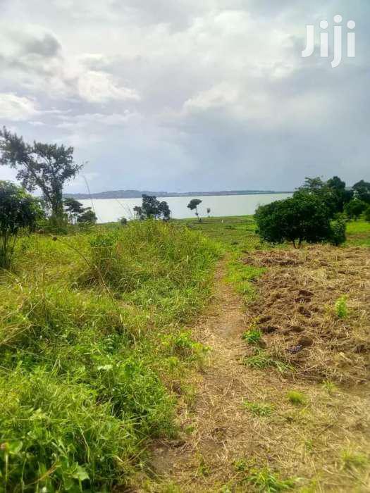 Kasanje Buwaya Land for Sale in Kasanje