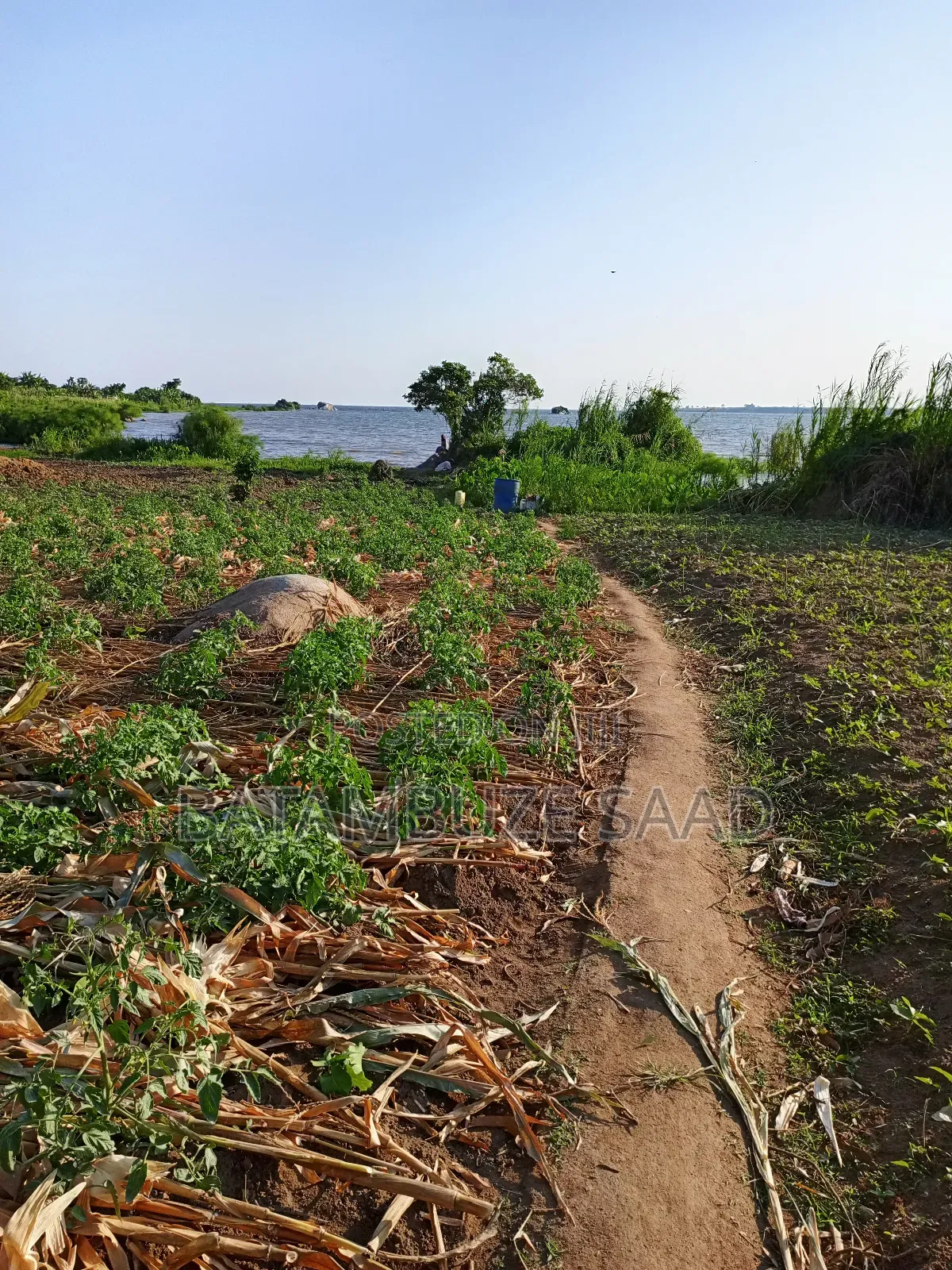 5 Acres of Farm Land on Lake Shores in Mayuge
