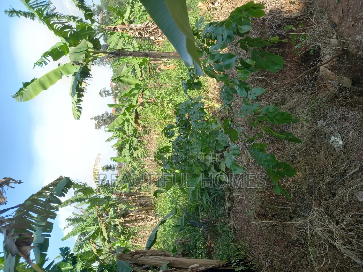 Kira One Acre on Quicksale in Kira