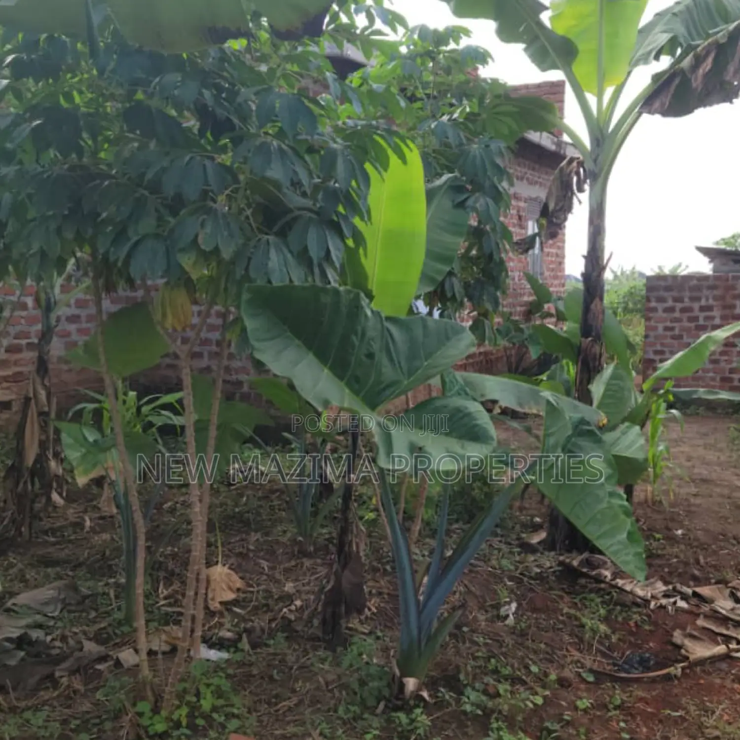 1bdrm House in Matuga Kavule, Division A for sale in Division A